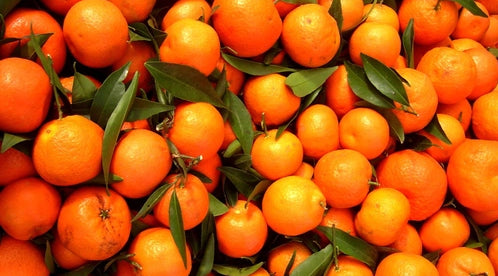 Mandarin Italia image 2