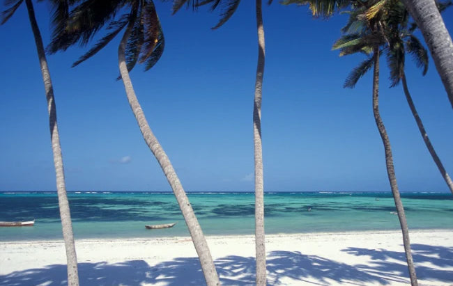 Zanzibar Beach image 1